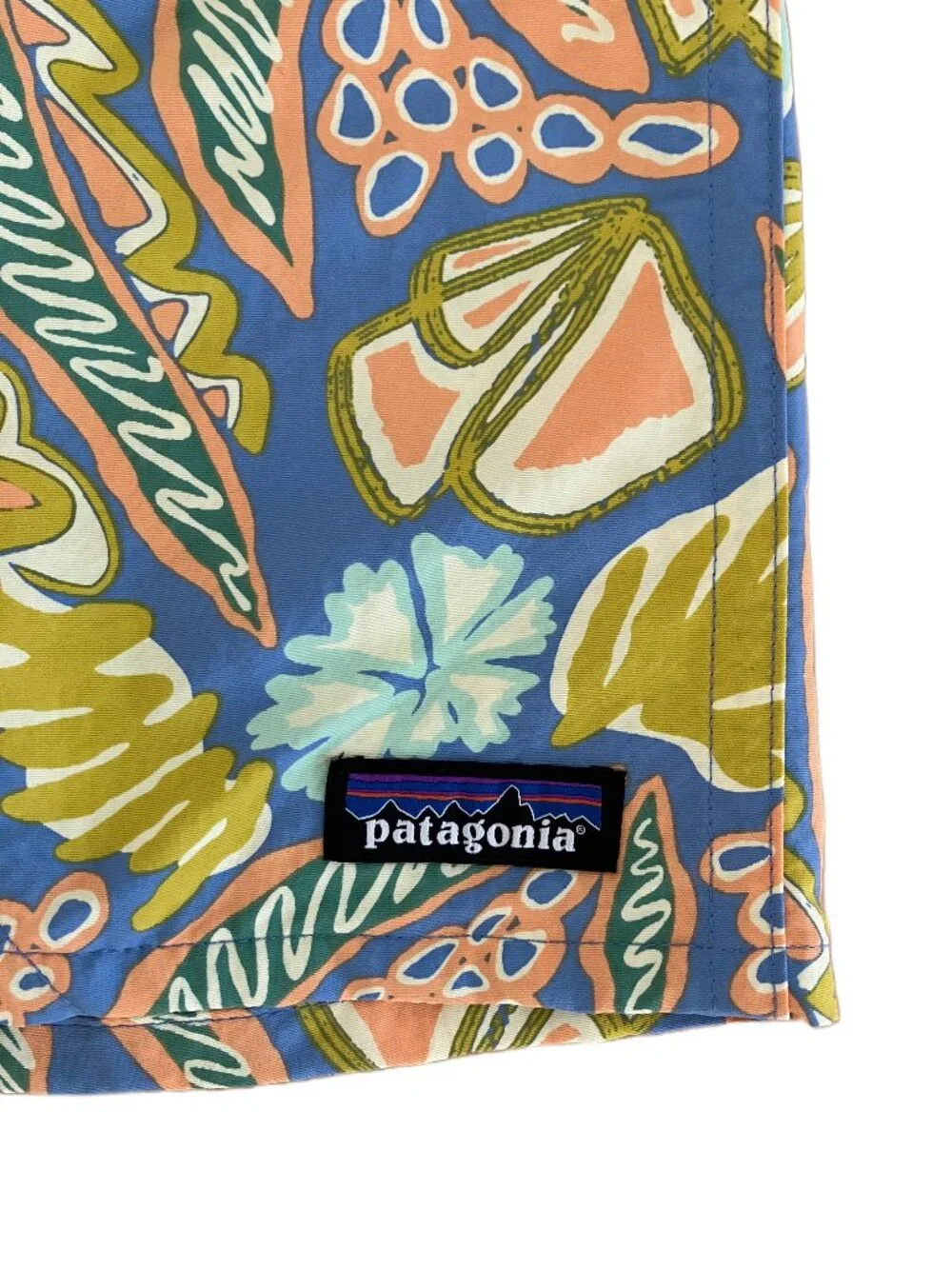 Patagonia Men's 5